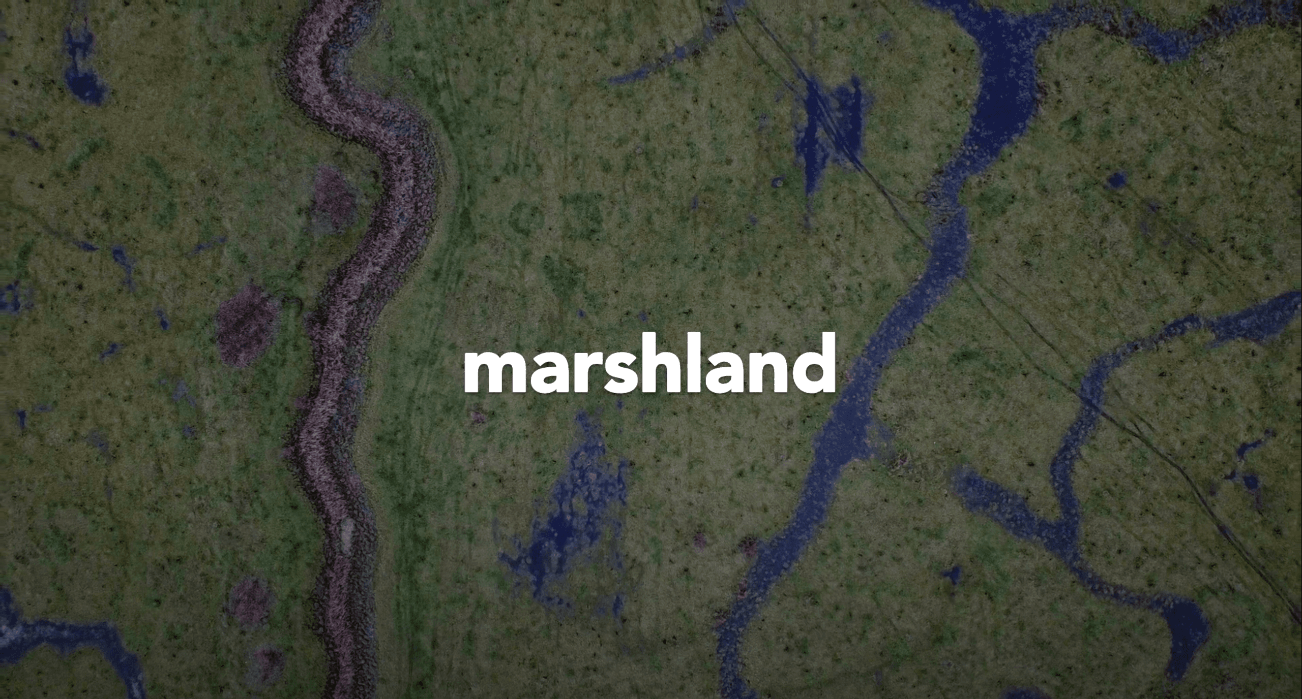 Marshlands